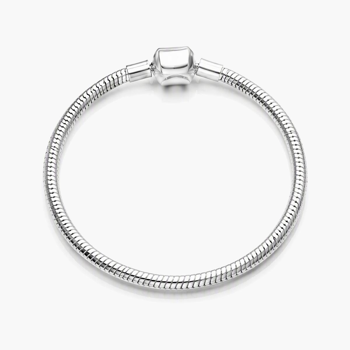 Trendy Snake Chain Bracelet