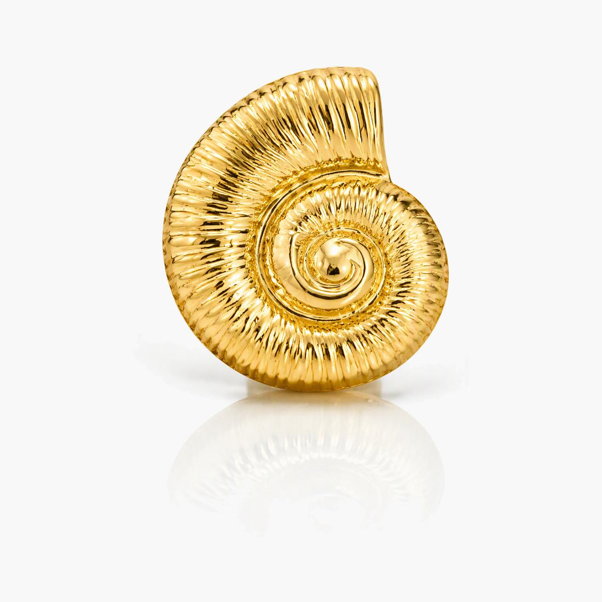 Textured Shell Stud Earrings