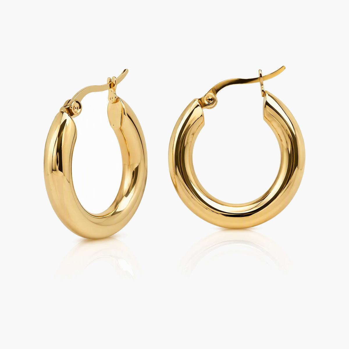 Twisted Hoop Earrings