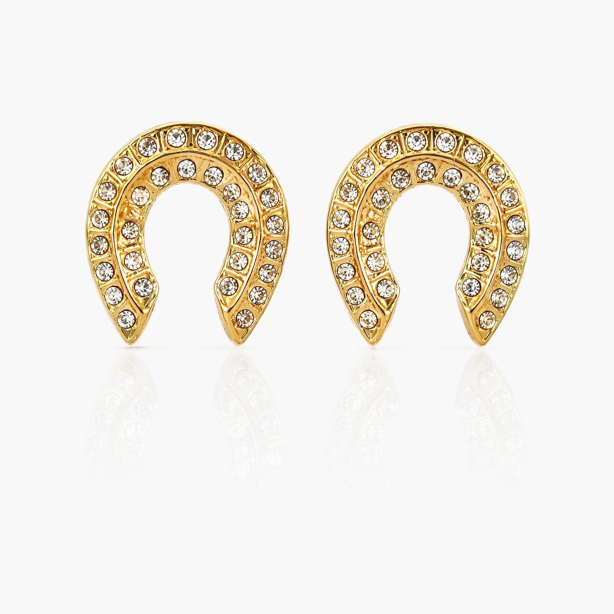 Trendy Horseshoe Stud Earrings