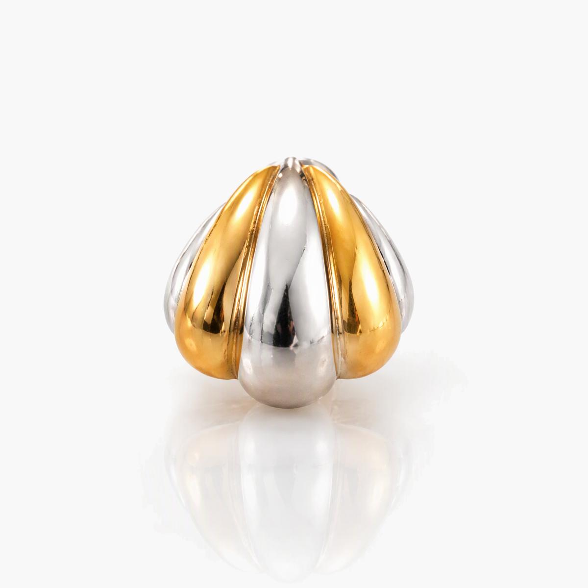 Twisted Shell Stud Earrings
