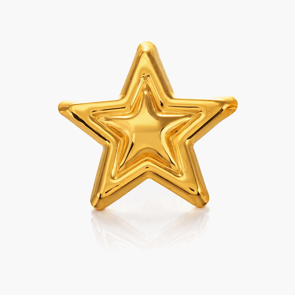 Trendy Star Stud Earrings