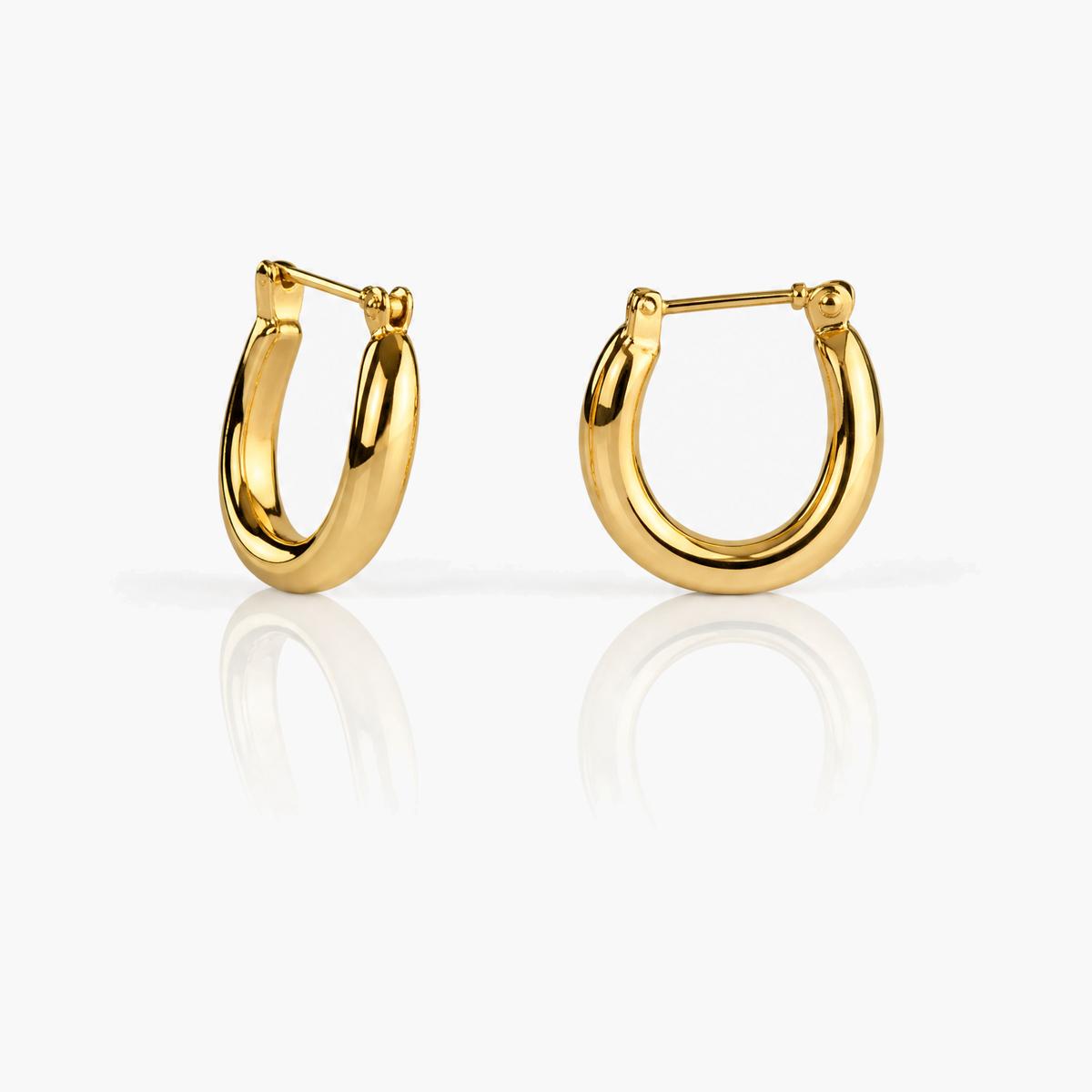 Twisted Hoop Earrings
