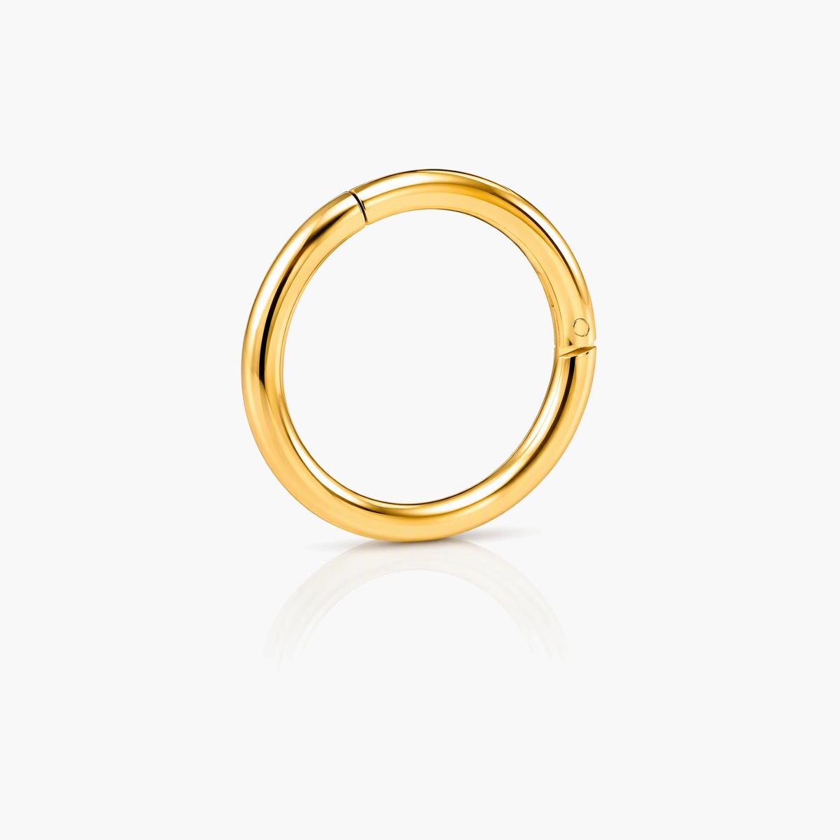 Minimalist Seamless Hoop Nose Ring