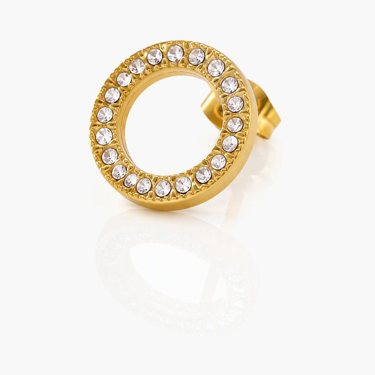 Trendy Paved Circle Hoop Earrings