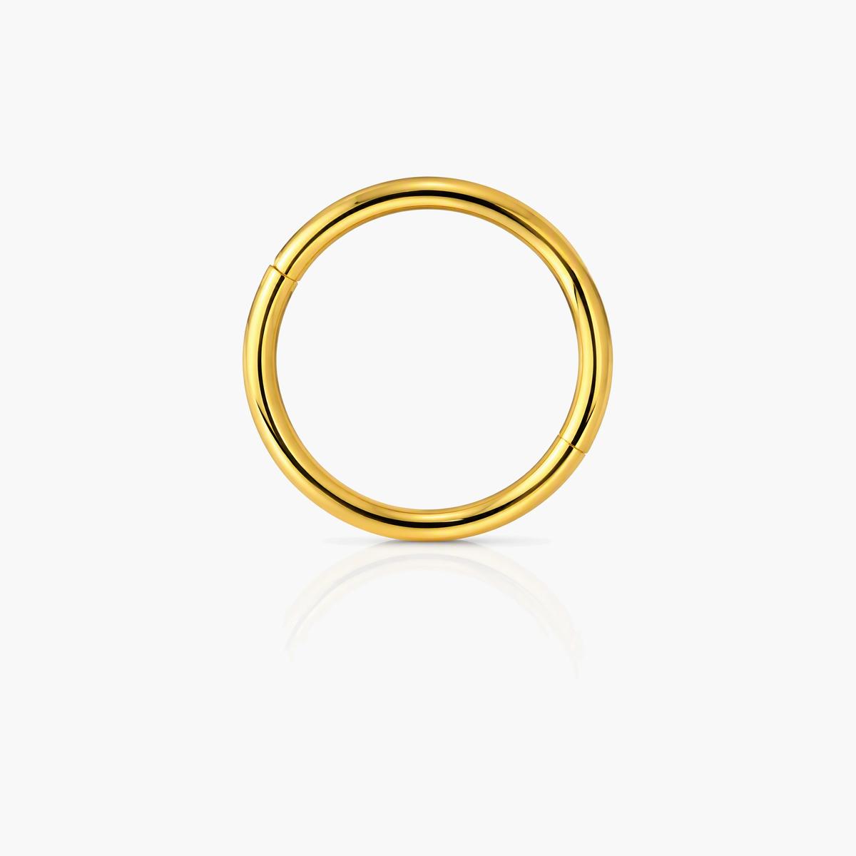 Minimalist Seamless Hoop Nose Ring