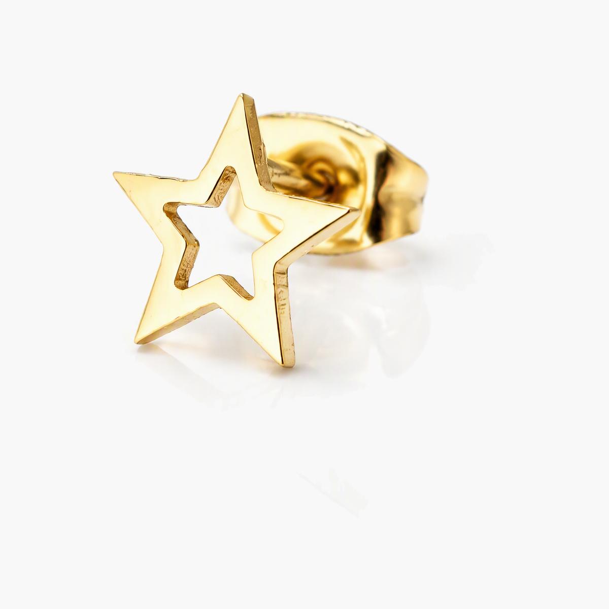 Dainty Hollow Star Stud Earrings