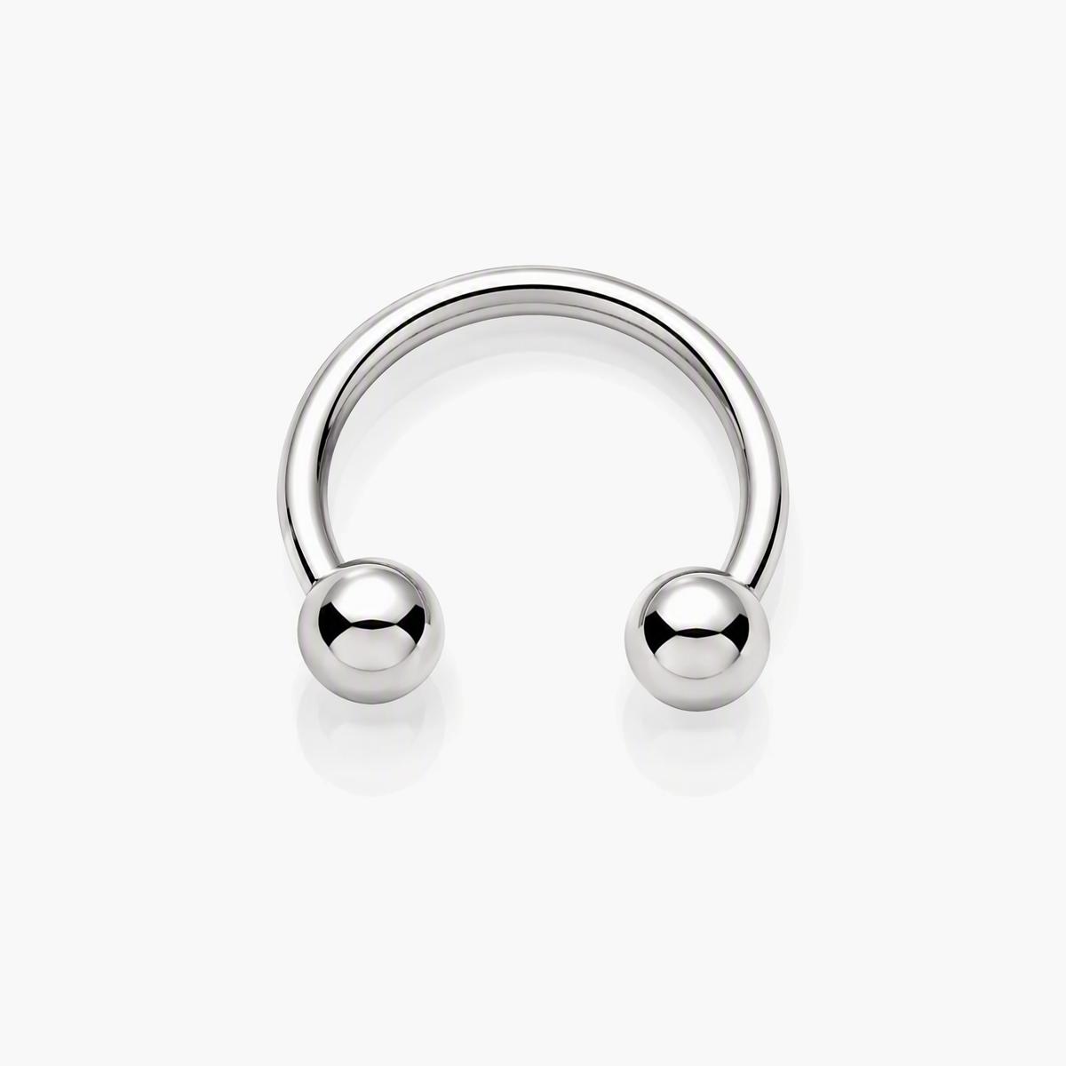 Minimalist Horseshoe Barbell
