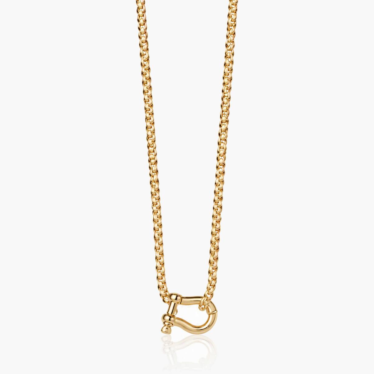 Trendy Horseshoe Clasp Necklace