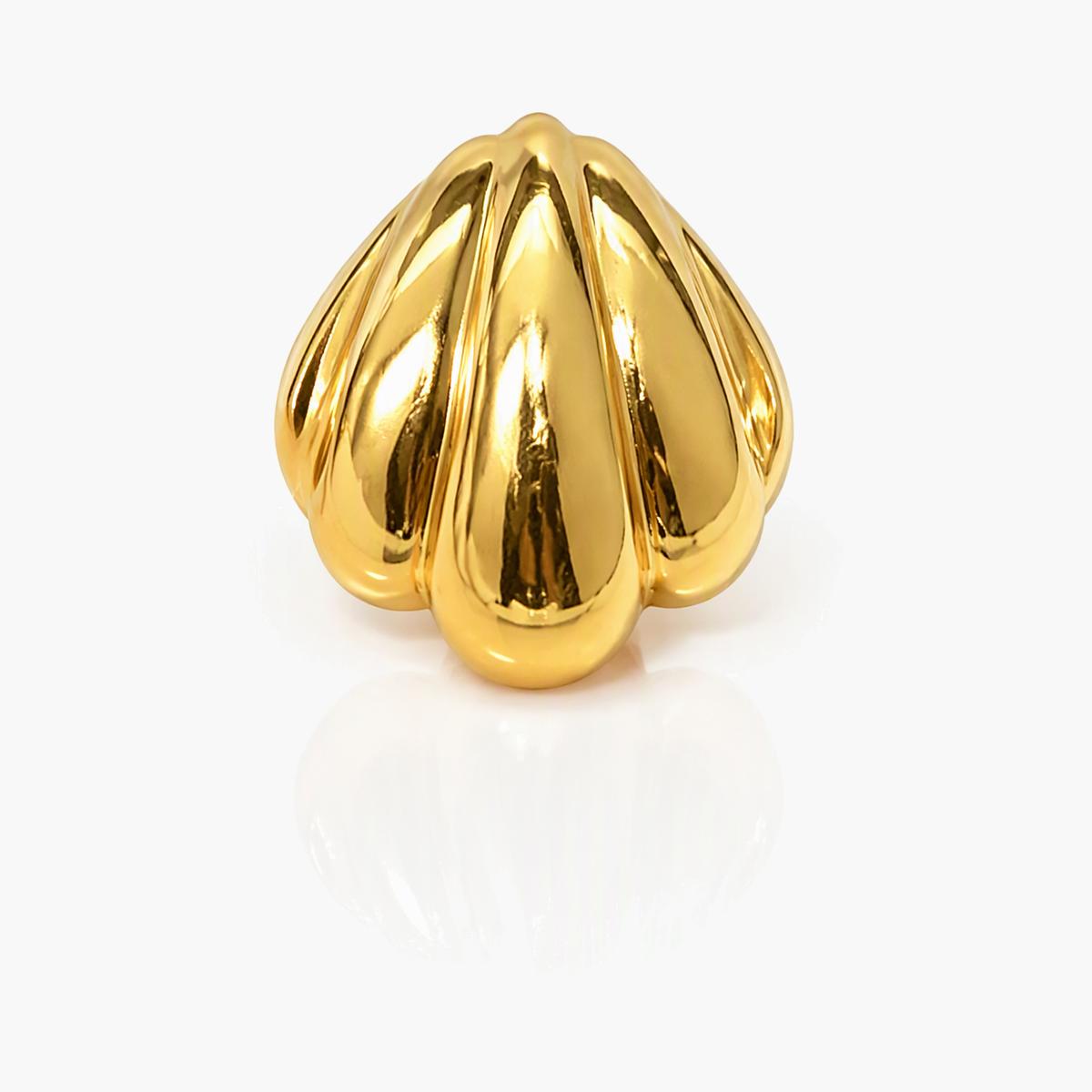 Scallop Shell Stud Earrings