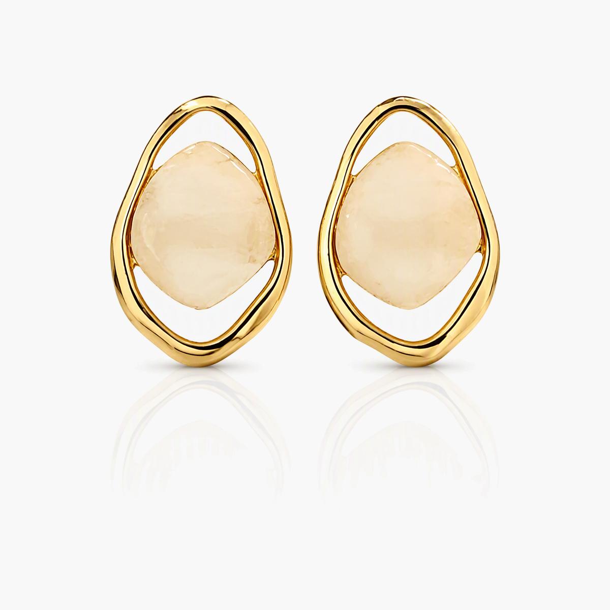 Oval Stone Frame Earrings