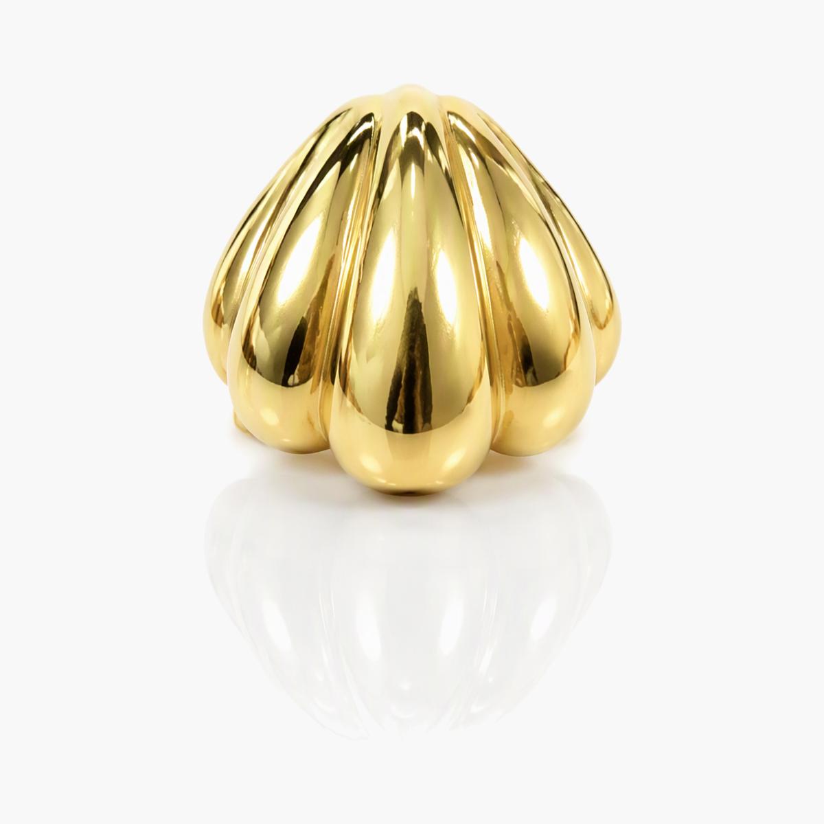 Scallop Shell Stud Earrings