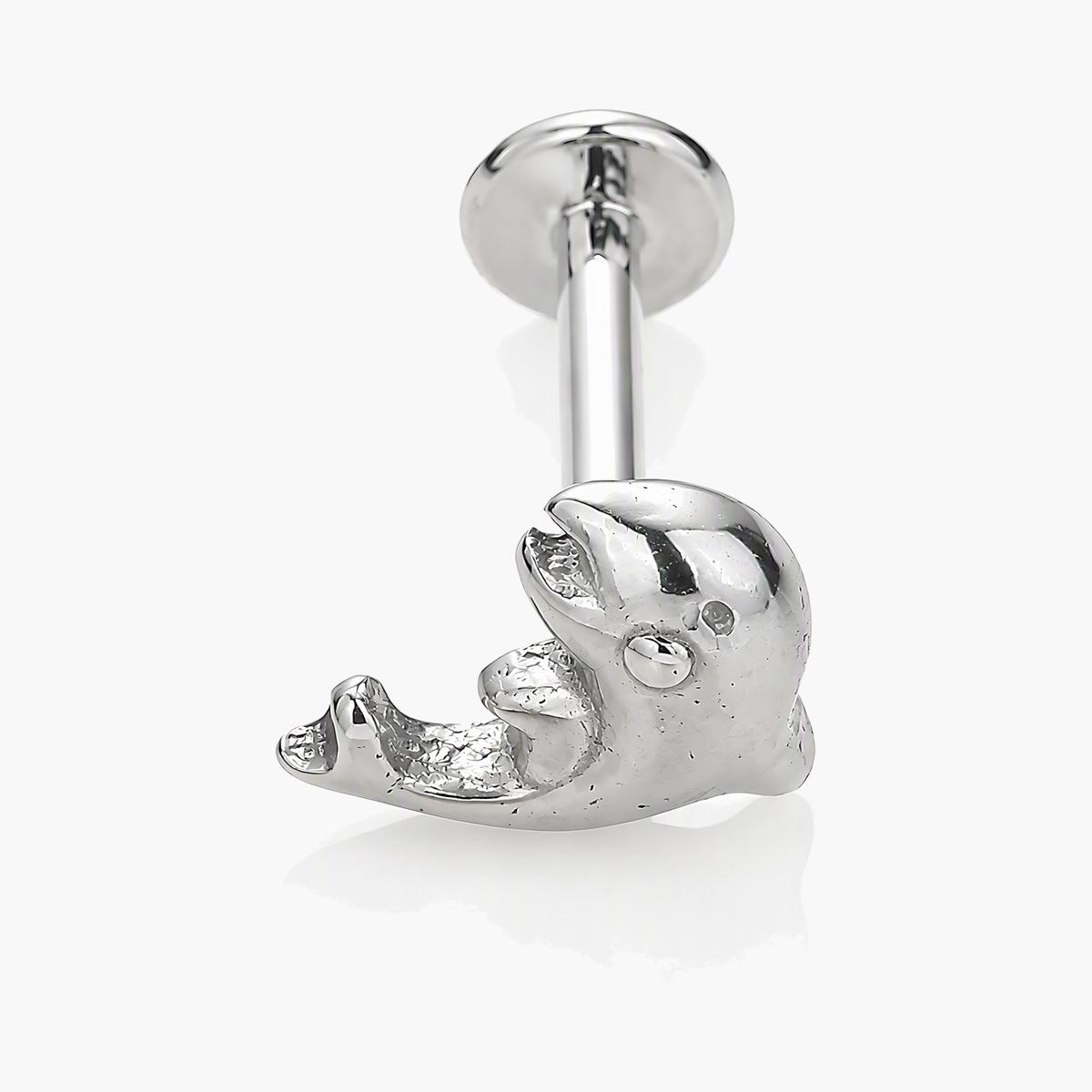 Cute Dolphin Stud Earrings