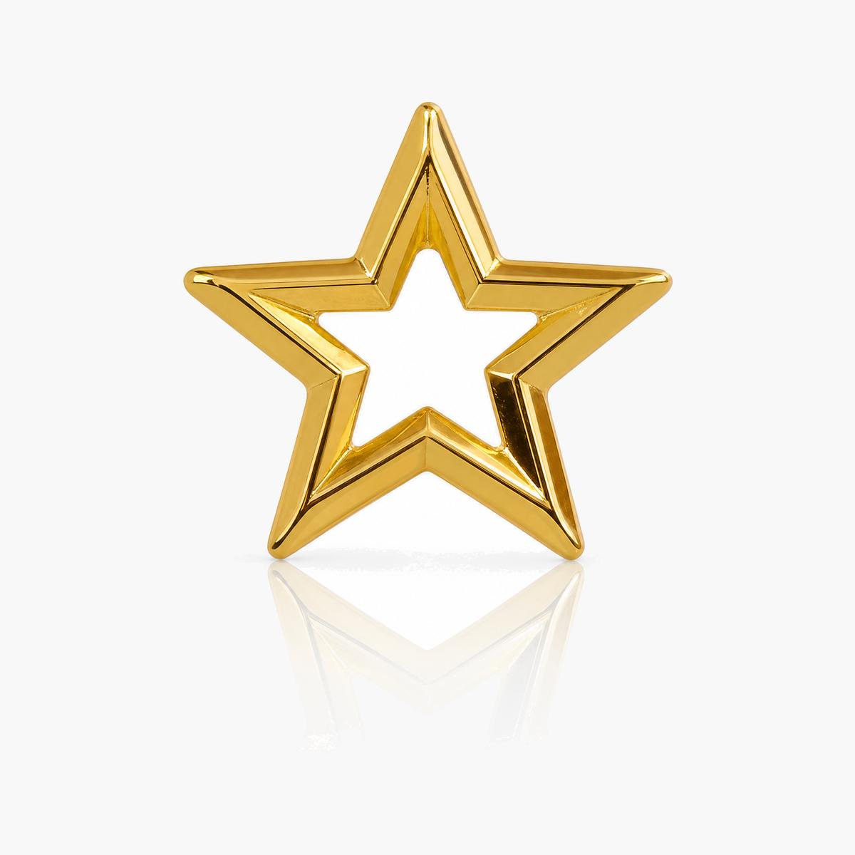 Trendy Star Stud Earrings