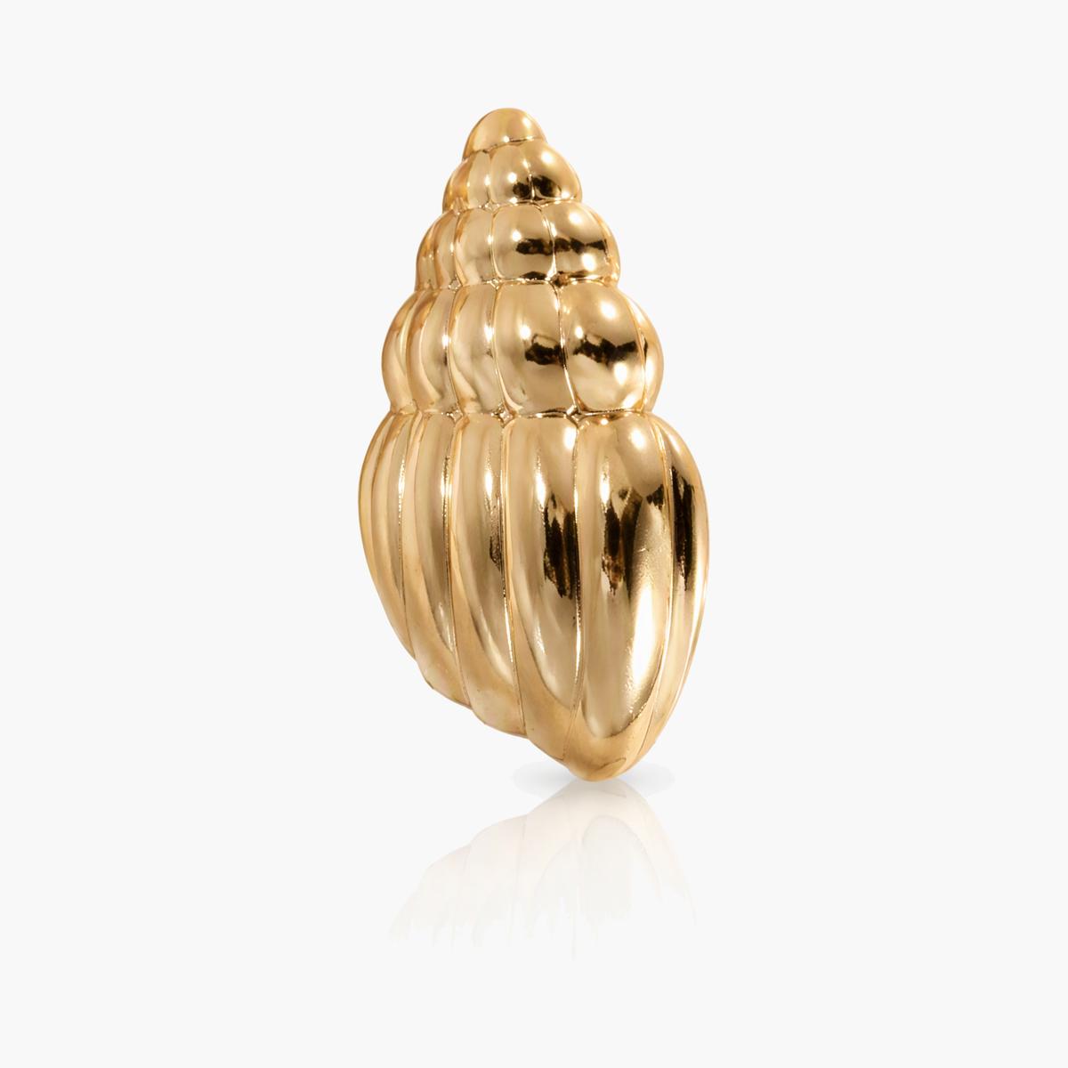 Trendy Seashell Stud Earrings